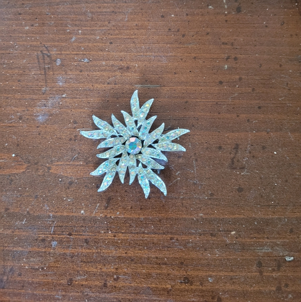 Pin for coat